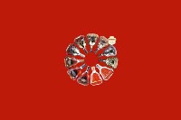 尧都回收红酒